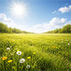Sunshine