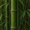 Bamboo