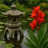 Asian Garden aka Aria